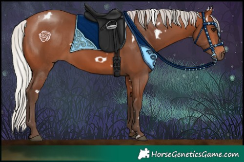 Horse Color:White Spotted Silver Brown 