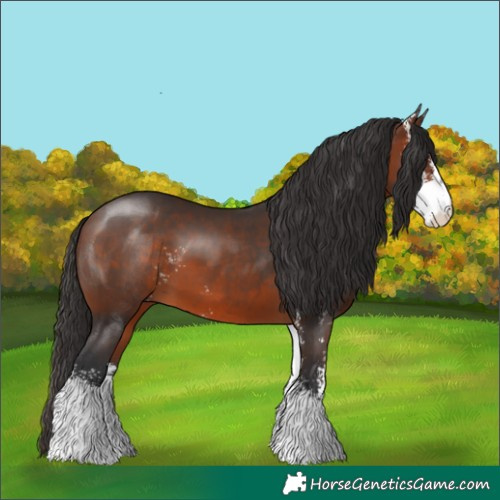 Horse Color:Brown Sabino