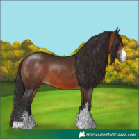 Horse Color:Brown Sabino