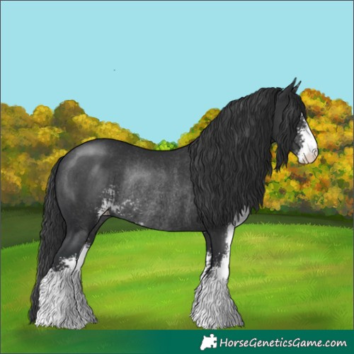 Horse Color:Black Sabino Rabicano