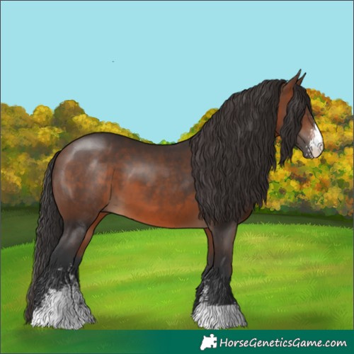Horse Color:Brown Sabino