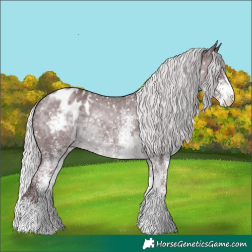 Horse Color:White Spotted Chocolate Silver Black Chinchilla Appaloosa