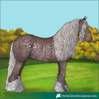 Horse Color:Chocolate Silver Smoky Black Chinchilla Rabicano
