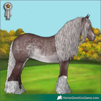 Horse Color:Chocolate Silver Brown Chinchilla 
