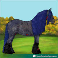 Horse Color:ERROR: UNKNOWN ANOMALY