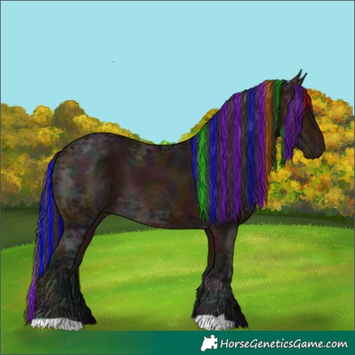 Horse Color:Painted Midnight Bay Ice