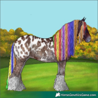 Horse Color:Painted Silver Bay Ice Onyx Blanket