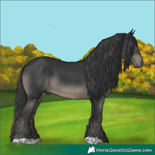 Horse Color:Platinum Black