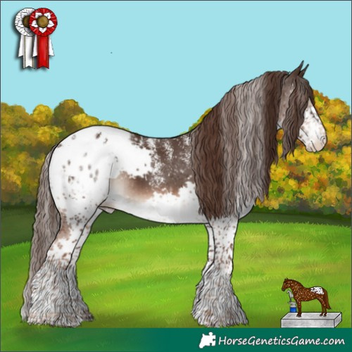 Horse Color:Powder White Liver Chestnut Splash Blanket