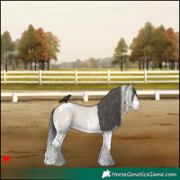 Horse Color:White Spotted Classic Cream Champagne Dun Splash Tobiano