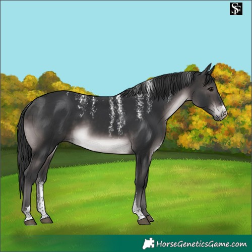 Horse Color:Powder White Platinum Brown 
