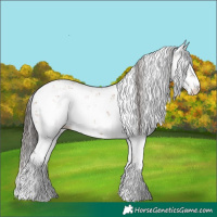 Horse Color:Bay Sabino 