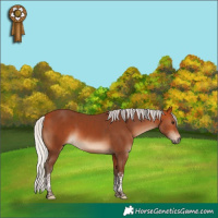Horse Color:Silver Bay Tobiano 
