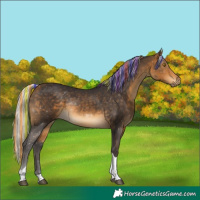 Horse Color:Painted Silver Buckskin Tobiano 
