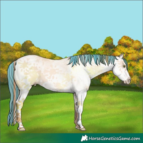 Horse Color:Painted White Spotted Gold Champagne Dun