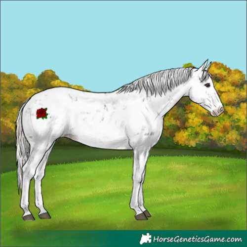 Horse Color:Silver Brown Sabino 