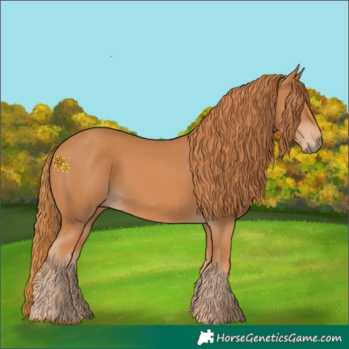 Horse Color:Chestnut Rabicano 