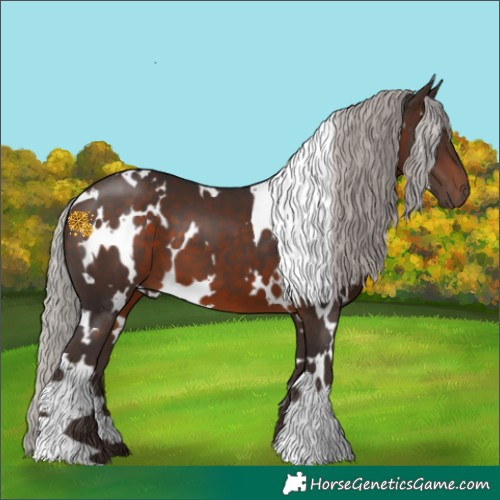 Horse Color:White Spotted Silver Brown 