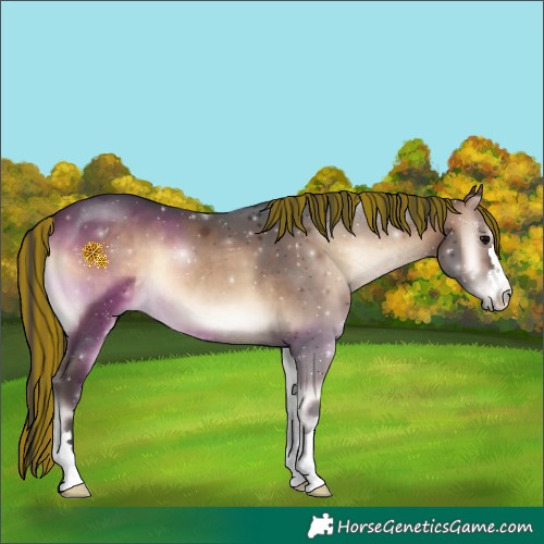 Horse Color:Painted Brown Onyx