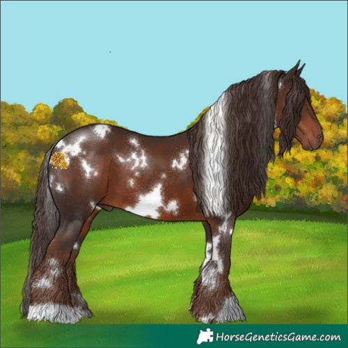 Horse Color:White Spotted Liver Chestnut 