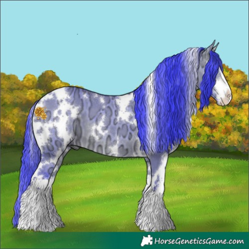 Horse Color:Watercolor White Spotted Bay Ice Dun 