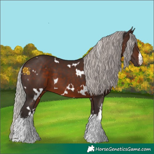 Horse Color:White Spotted Silver Brown 