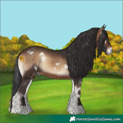 Horse Color:White Spotted Brown Onyx Rabicano