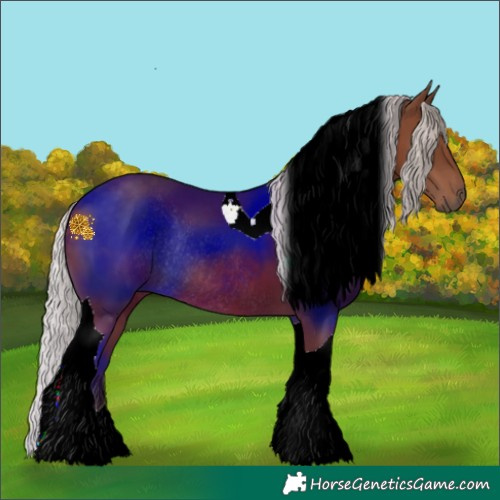 Horse Color:Silver Black Tobiano Rabicano 