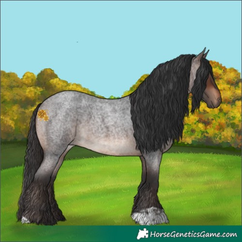 Horse Color:Brown Roan