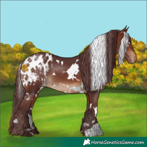 Horse Color:White Spotted Chocolate Brown Blanket 