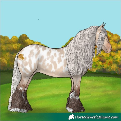 Horse Color:White Spotted Silver Bay Dun Mushroom Appaloosa