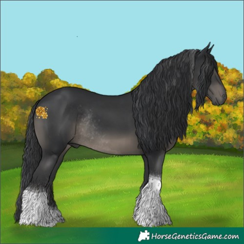 Horse Color:Black Tobiano Rabicano