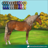 Horse Color:Chocolate Palomino 