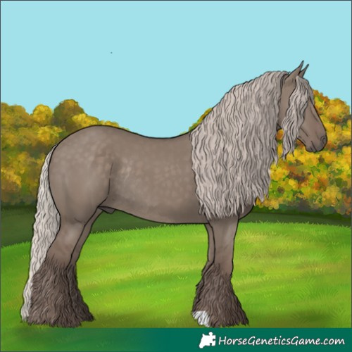 Horse Color:Silver Grullo Rabicano