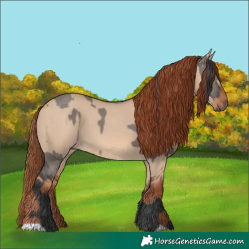 Horse Color:Grullo Rabicano  and Red Dun 