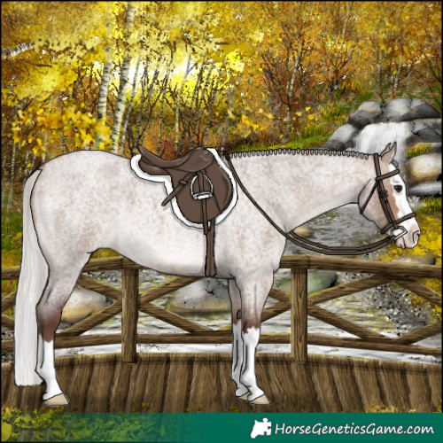 Horse Color:Silver Brown Roan Dun Splash