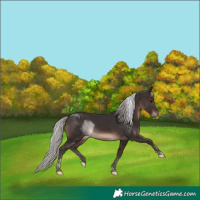 Horse Color:Silver Brown Mushroom Tobiano