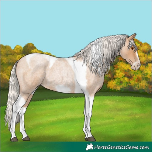 Horse Color:Silver Blue Roan Pearl Tobiano Frame
