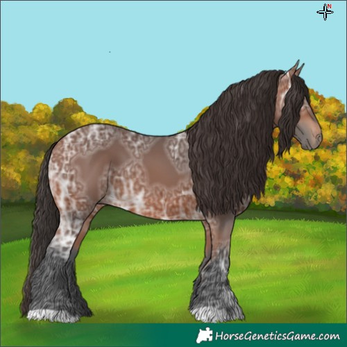 Horse Color:Bay Ice