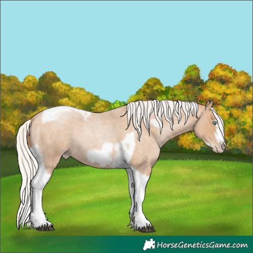 Horse Color:Silver Blue Roan Pearl Tobiano Frame 