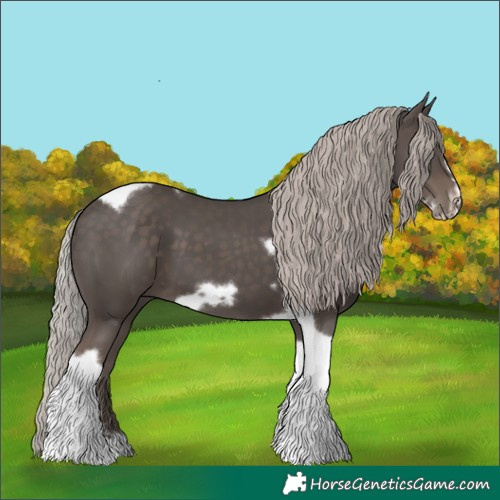 Horse Color:Silver Black Tobiano Frame