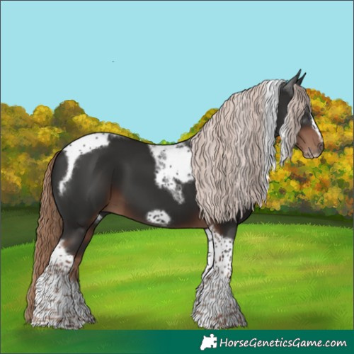 Horse Color:Liver Chestnut Tobiano Frame 