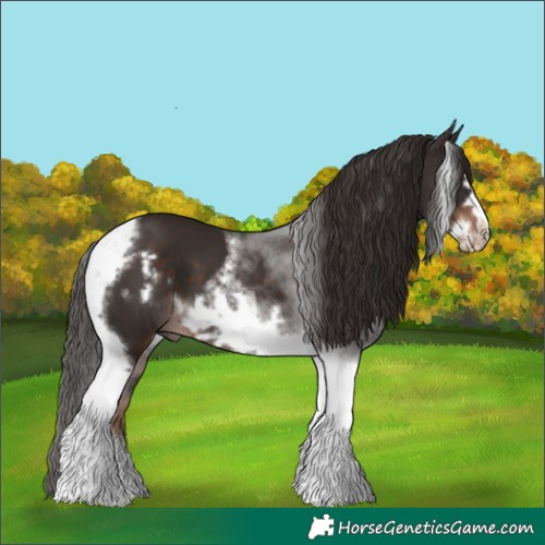 Horse Color:Liver Chestnut Tobiano Frame
