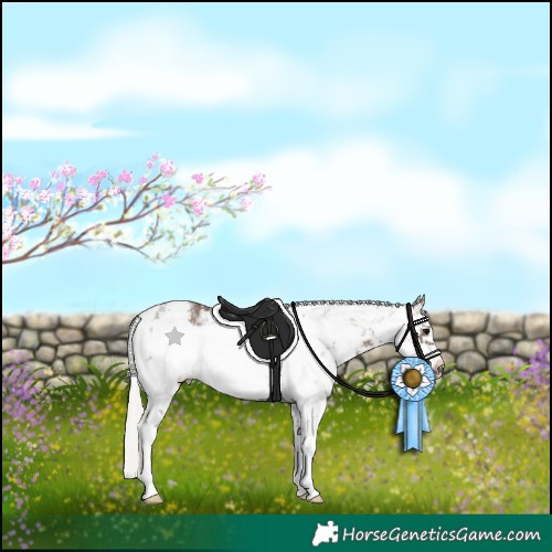 Horse Color:White Spotted Silver Black Sabino Frame 