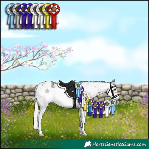 Horse Color:White Spotted Silver Black Sabino Frame 