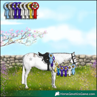 Horse Color:White Spotted Silver Black Sabino Frame