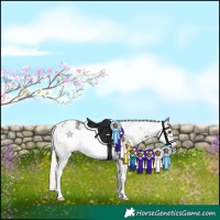 Horse Color:White Spotted Silver Black Sabino Frame