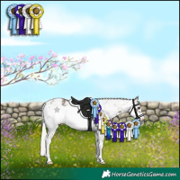 Horse Color:White Spotted Silver Black Sabino Frame 