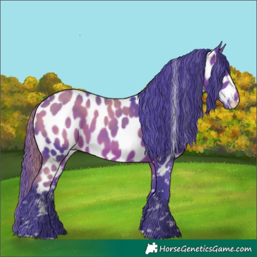 Horse Color:Watercolor Brown Leopard