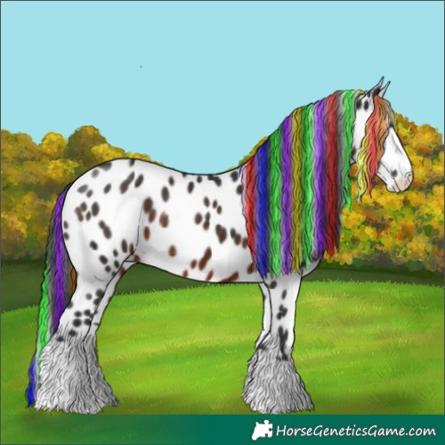 Horse Color:Painted Brown Leopard
